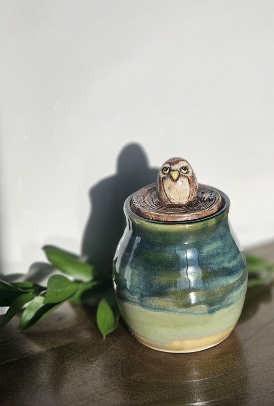 Ceramic jar with a lid featuring an owl design on a wooden surface with leaves.