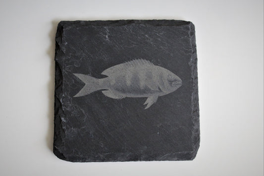 Slate Coasters