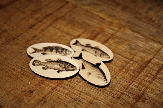 Fish Magnet Set