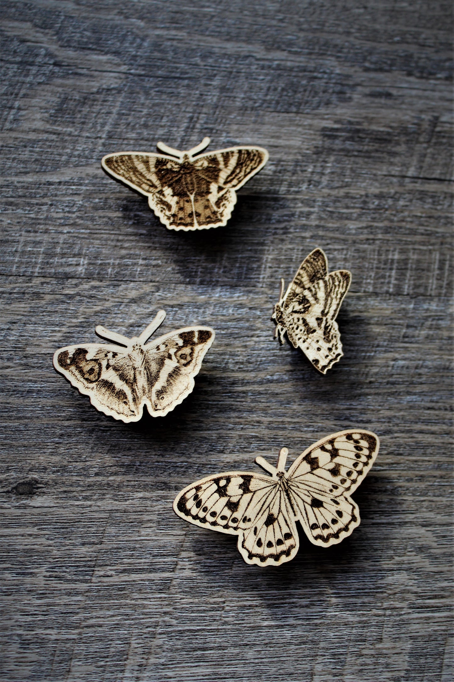 Butterfly Magnet Set