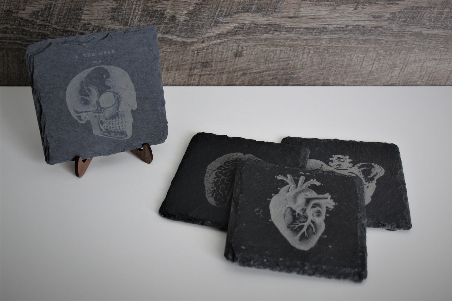 Vintage Anatomy Slate Coasters, set of 4