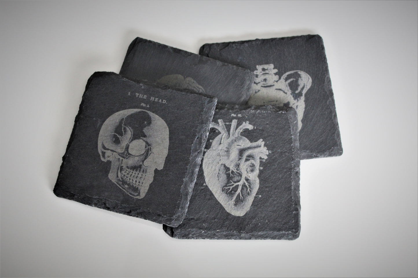 Vintage Anatomy Slate Coasters, set of 4